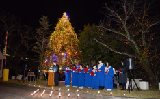 Switching on the Christmas lights